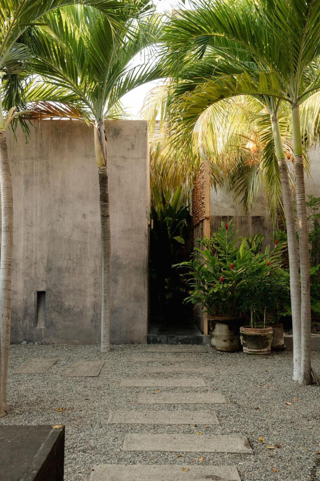 Lo Sereno Casa De Playa Troncones Eksteriør billede